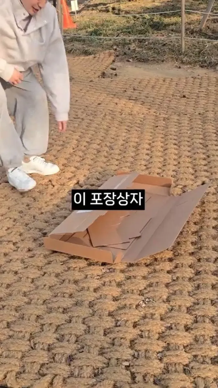 페이퍼팝, 피크닉, 종이의자, 종이테이블, 박스, 재활용