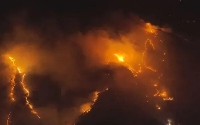 산불피해, 기부, 김지원, 삼성, 4대그룹, 박보영, 연예계기부