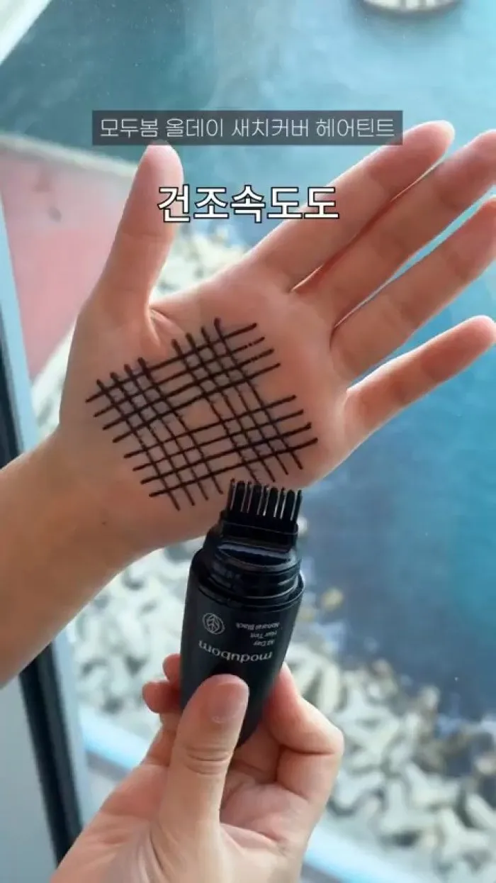 3CE쉬머메이크업픽서, 새치커버헤어틴트, 내추럴블랙, 헤어쿠션, 투크러프벗프로립펜슬