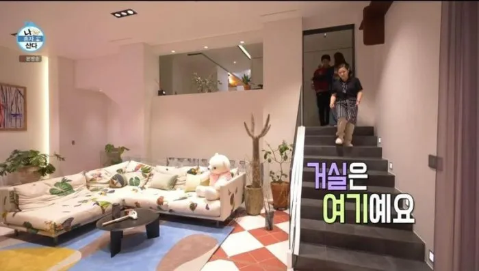 [이슈PICK] 집 공개 예능의 '딜레마'…이효리·노홍철도 피해자