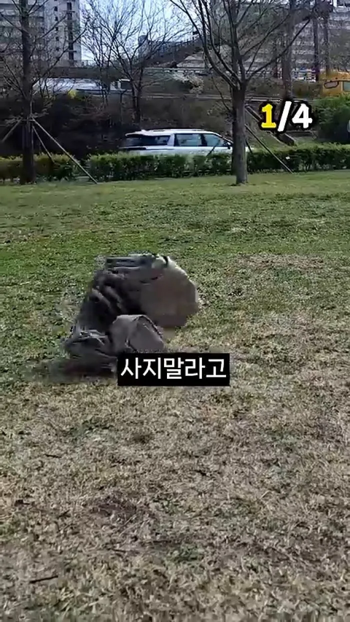 [리뷰] 봄 나들이 준비 끝…피크닉에 챙겨갈 '꿀템' 등장