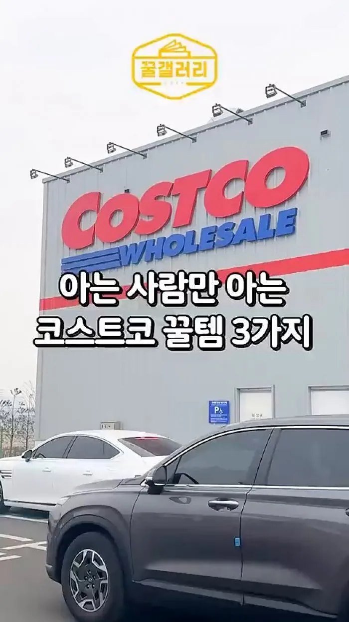 레오나르디 오로 노빌레 화이트발사믹 콘디멘토, 케라시스 아르간 오일 헤어트리트먼트, 커클랜드 시그니처 블루 아가베 시럽