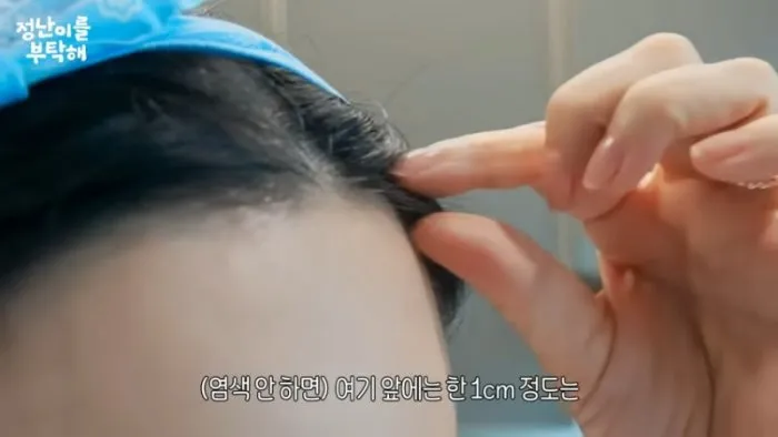 김정난, 유튜브, 건강, 검은콩, 머리, 흰머리