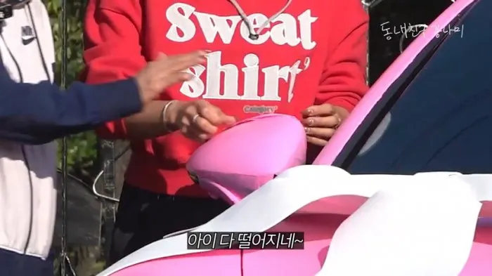 페인트, 포르쉐, 핑크, 이상화, 아내