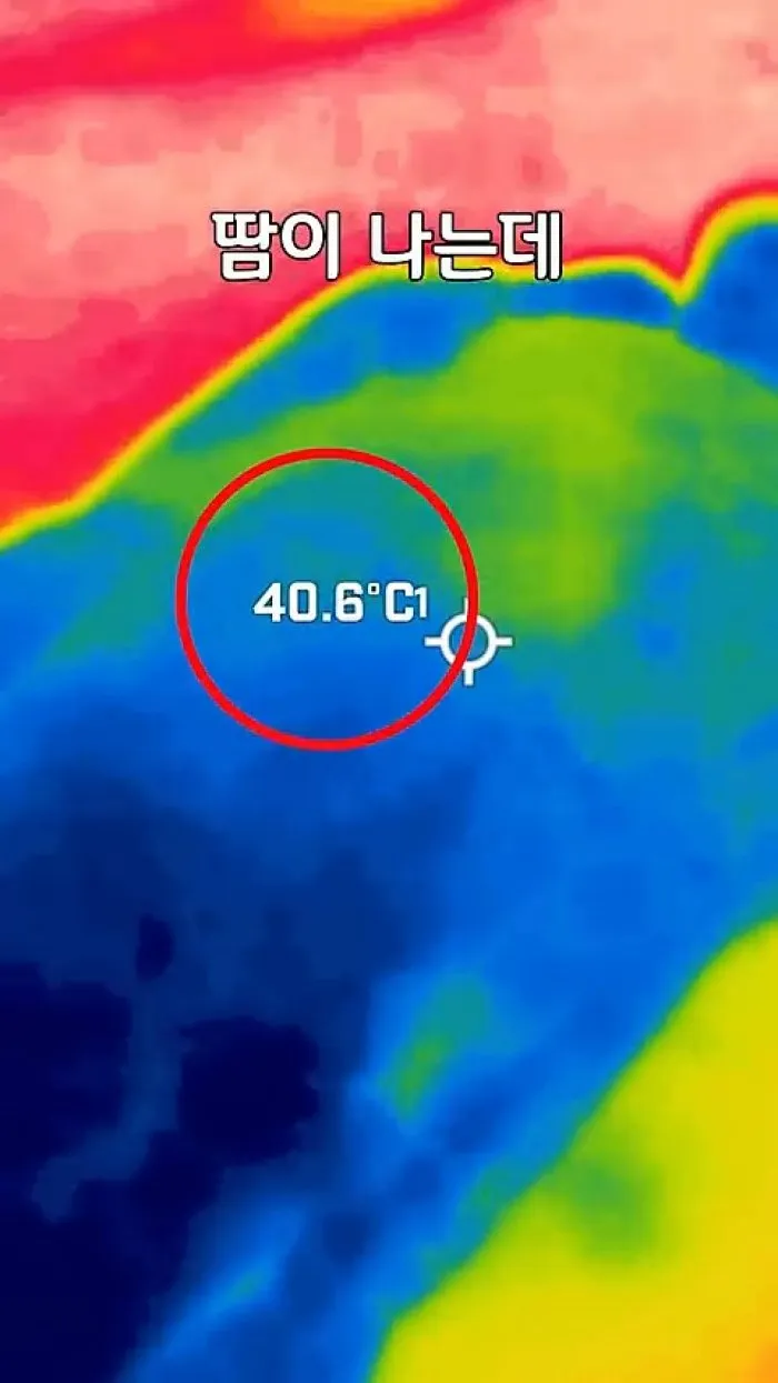 모던하우스 3도씨 익스트림쿨 PCM 냉감 시리즈