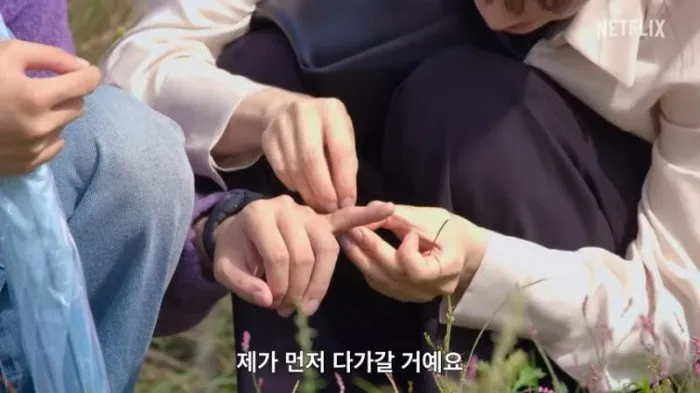 모태솔로, 연애, 넷플릭스, 예능, 모태솔로지만 연애는 하고 싶어