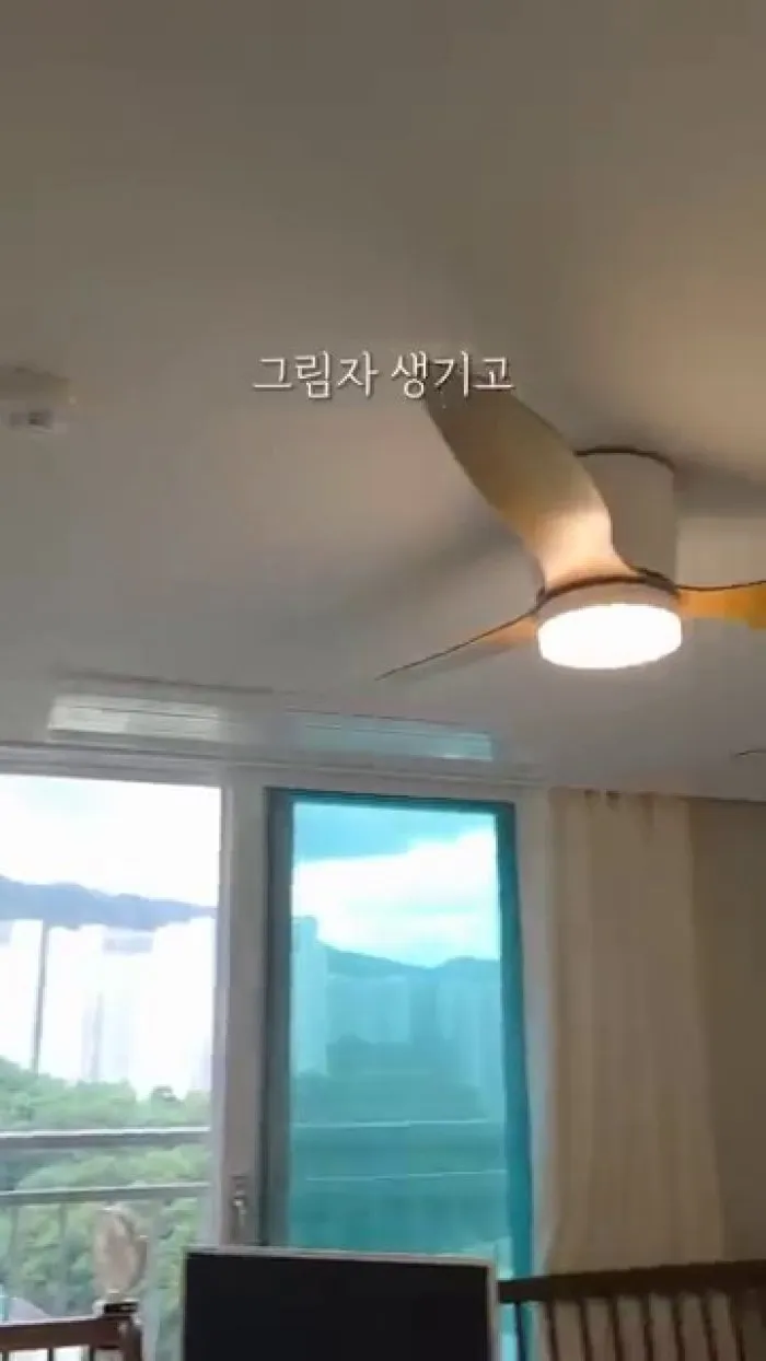 도시샤 서큐라이트 스윙 실링팬, 거실, 조명, 바람, 서큘레이터