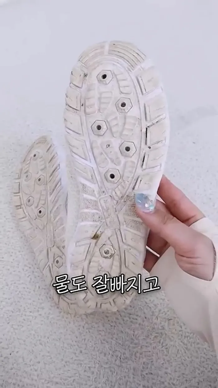 웨이브썸 UPF50+ 스토미 래시가드 슬림핏 하이넥 집업, 비바럽 여름 밴딩 반바지 쇼츠 비키니 커버업, 워터프루프 스윔웨어 브라렛, MJ21 커플 아쿠아슈즈 워터슈즈 물놀이 신발