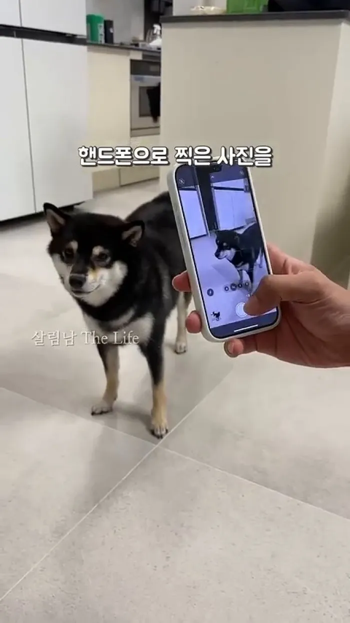 Ventilador de pinza portátil YINUO, Cepillo de esponja doble OHE, Funda de teléfono personalizable de tinta electrónica NFC DIY