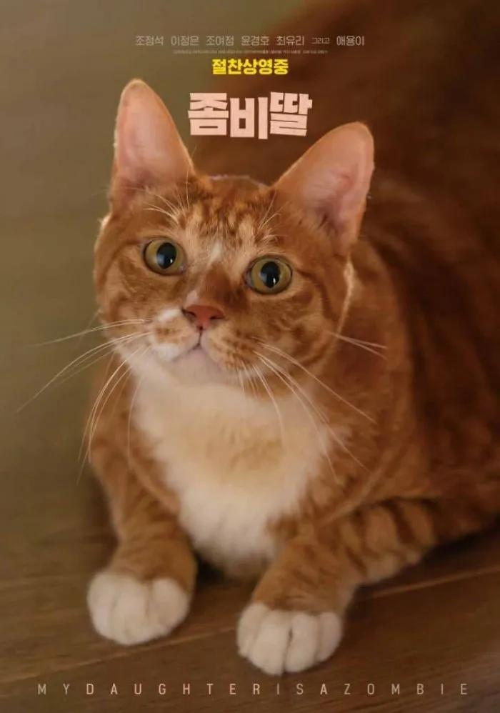 Zombie Daughter, Aeyong-i, Cats, Jo Jung-suk, Box Office