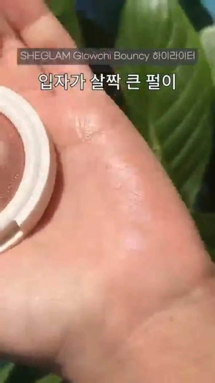 Anessa Perfect UV Brush-On Powder, Flower Nose Cheek Gradation Blush, Sheglam Glowchi Bouncy Highlighter