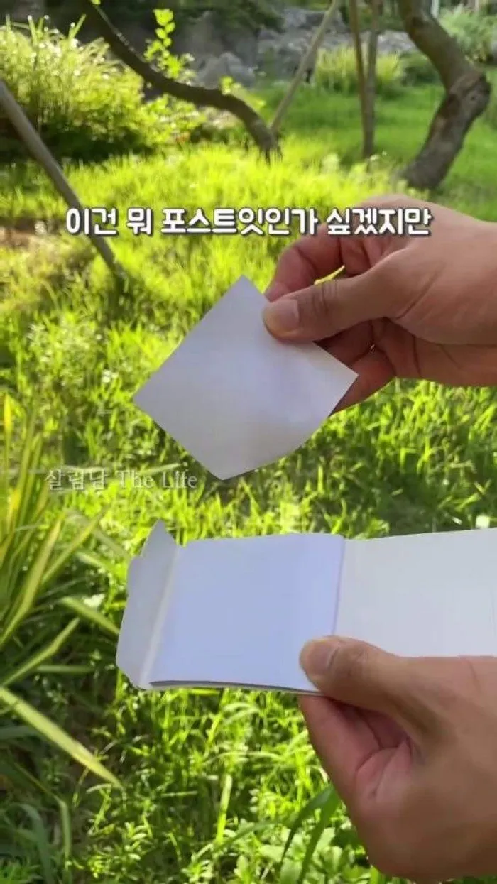 Mosiryu Premium Folding Bottle, Food Storage Manual Vacuum Compress Zipper Bag, Wendy Portable Dust Tape, Olic Portable Mini Sealing Machine, Wild Camp Mini Lighter