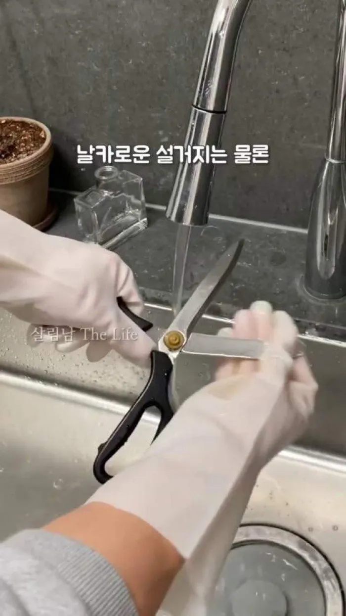 Hot Cook Ball, Cinta impermeable multiusos Raon, Mesa lateral ajustable Pitcher, Guantes de nitrilo resistentes Innerhome, Rugbox Cable multirol redondo