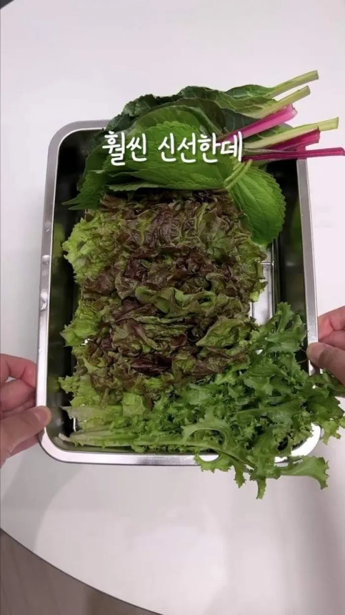 Squeeze Lavan Stainless Square Bat