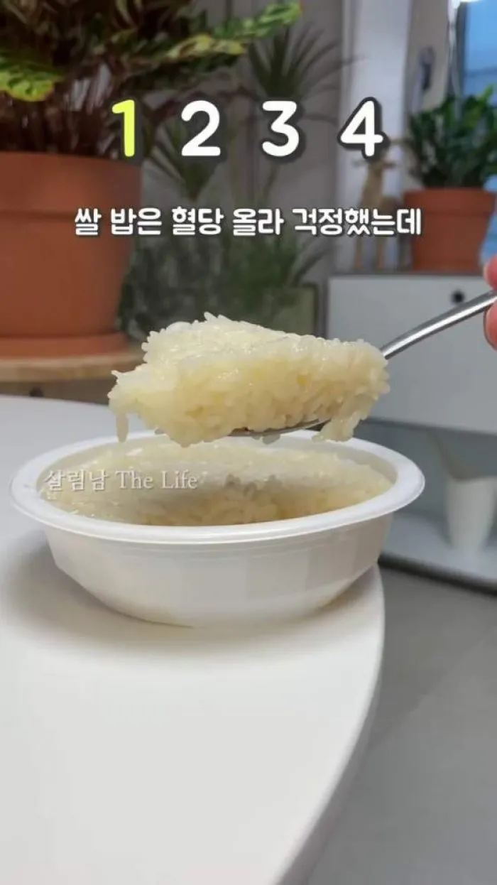 [Reseña] ¿Dieta con mandu y burritos?… Cuatro alimentos que reducen la carga calórica