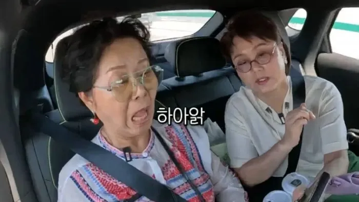 Sunwoo Yong-ye, Lee Kyung-sil, Son Bo-seung, Nieto, Planes