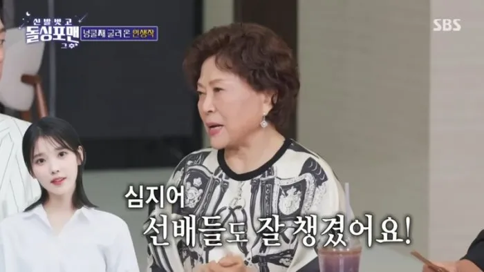 キム・ヨンリム, IU（アイユー）, 最高だ、イ・スンシン, 人柄, ドルシンフォーマン, タク・ジェフン