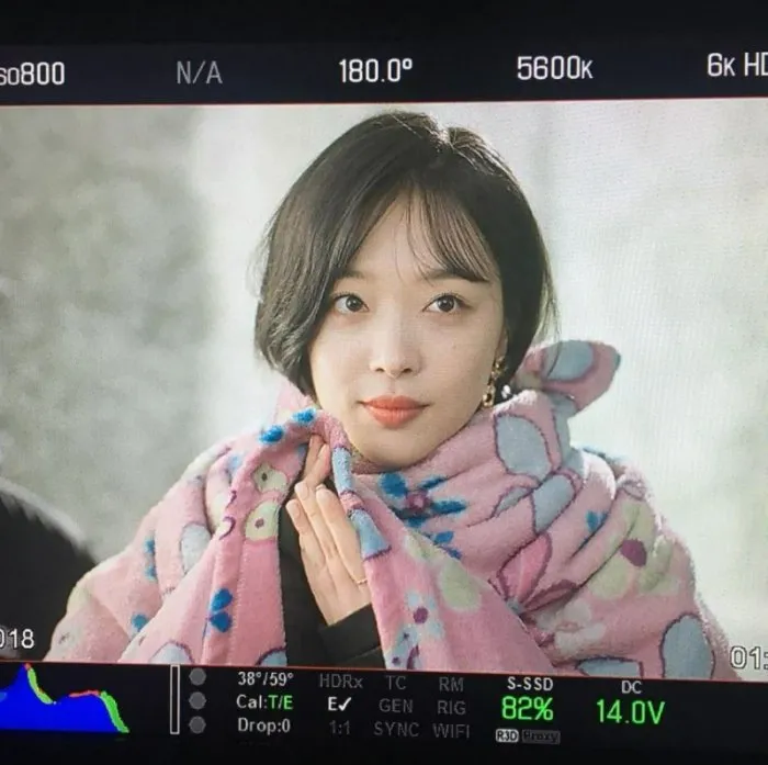 Sulli, Festival Internacional de Busan, documental, hermano, Tienda de la Verdad