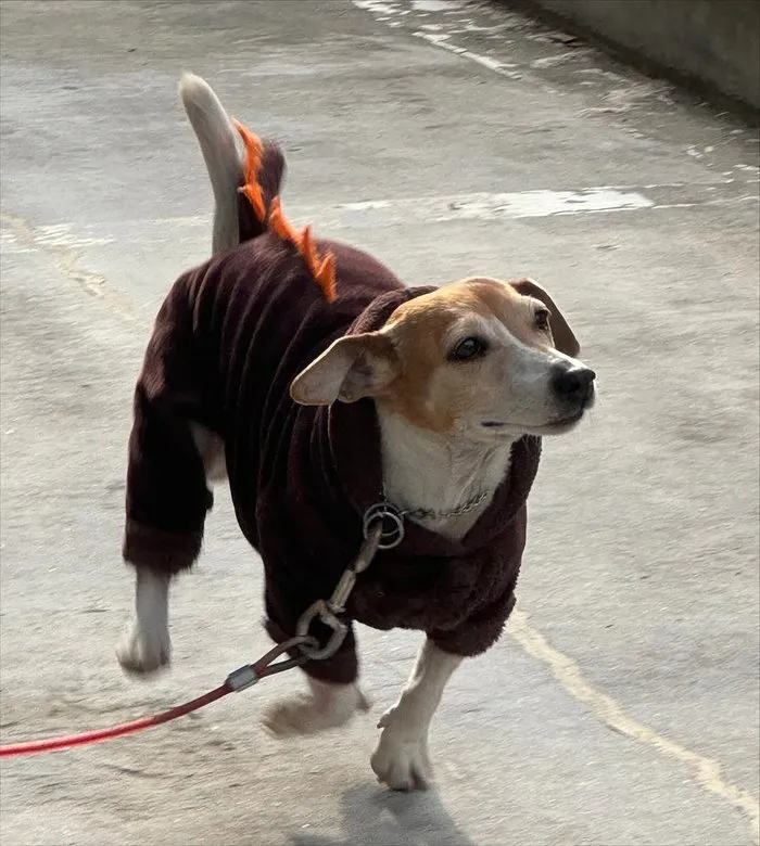 RelacionesAbiertas, Instagram, Cotidiano, MaterialDeNovio, tvN, LeeChaeMin, BonApetitMajestad