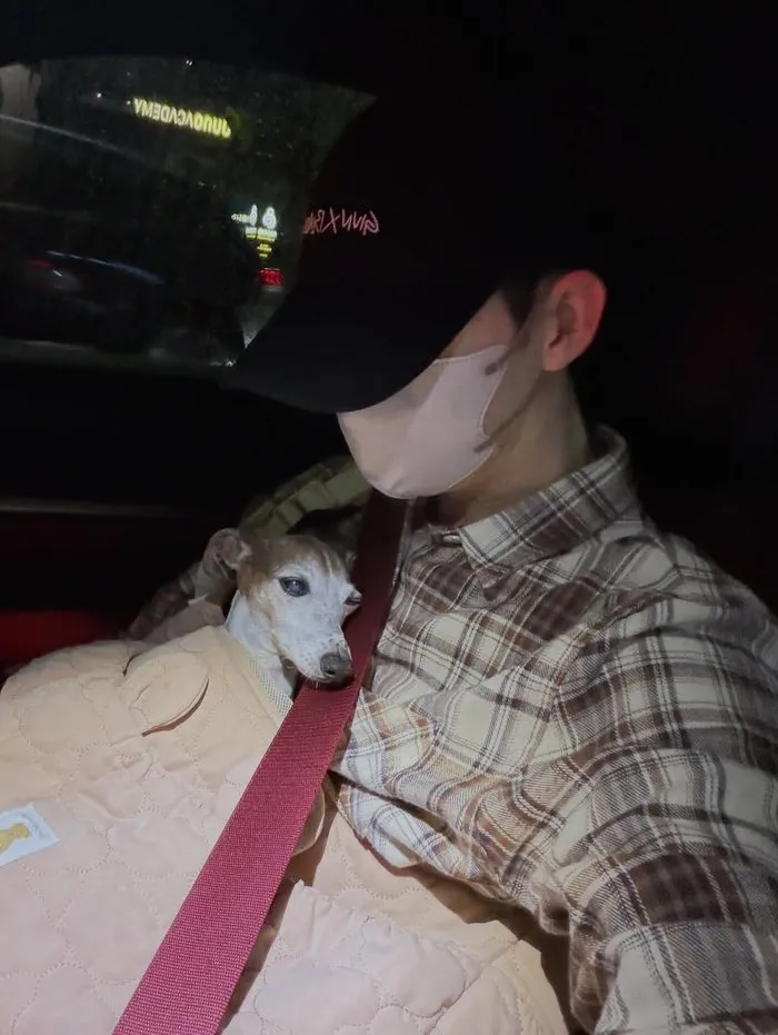 Jo Kwon, Instagram, Cotidiano, Moda, Perro