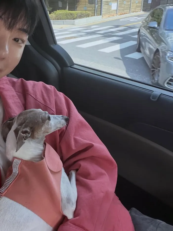 Jo Kwon, Instagram, Cotidiano, Moda, Perro