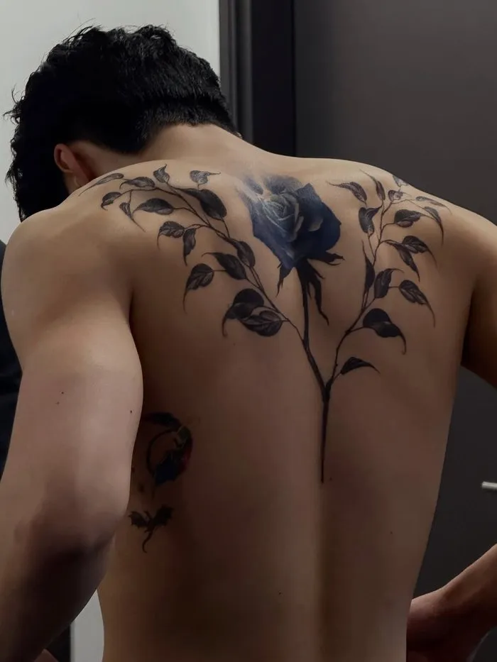 ZEROBASEONE, Ídolo, Instagram, Ejercicio, Gunwook Park, 2025 MAMA Awards, ZEROSE