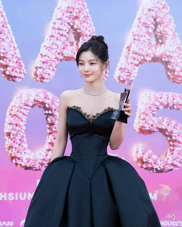 Awesome ENT, Actor, Instagram, AAA2025, Fans