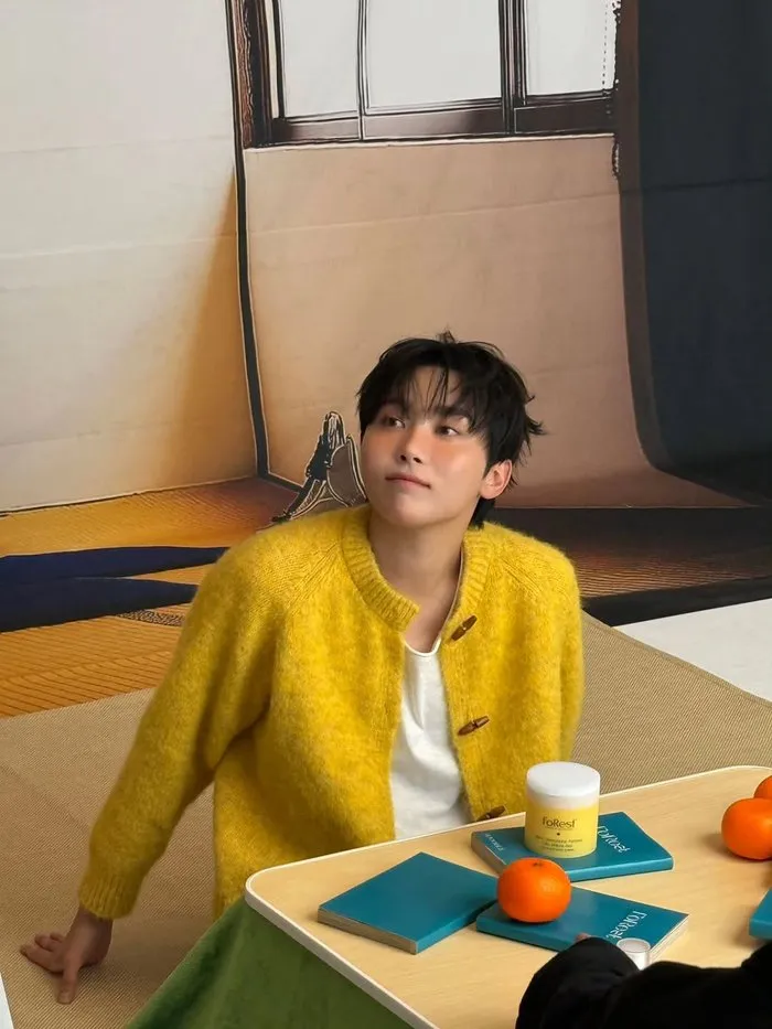 SEVENTEEN, tangerine, Seungkwan, Instagram, refreshing