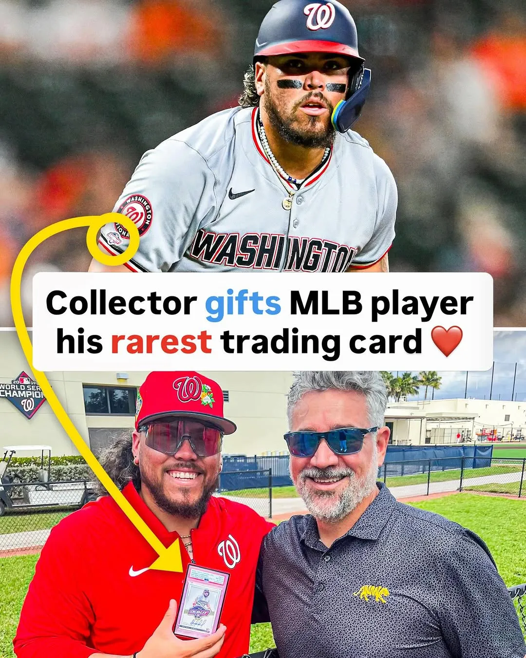 mlb, collector, card, exchange, memorabilia