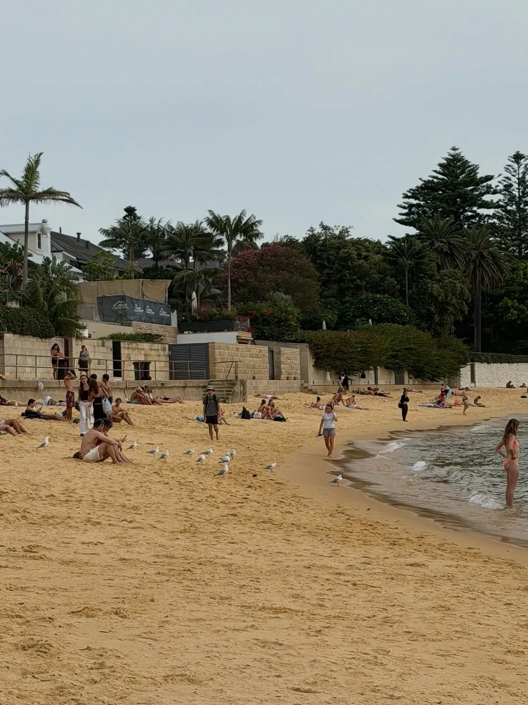 홍영기, 인플루언서, 후드 런칭, 시드니, 해변