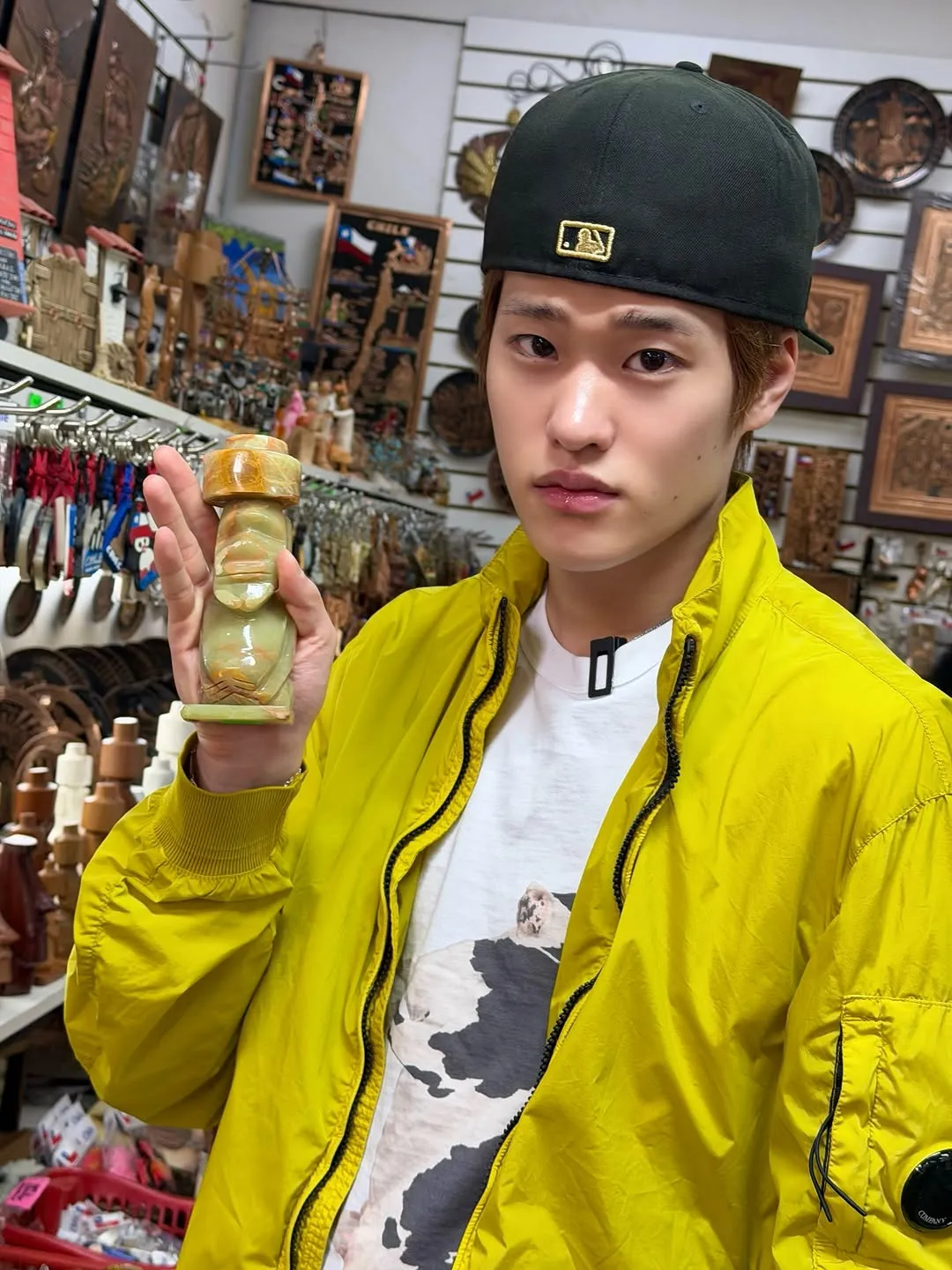 라이즈, 공식, 업데이트, 인스타그램, 팬