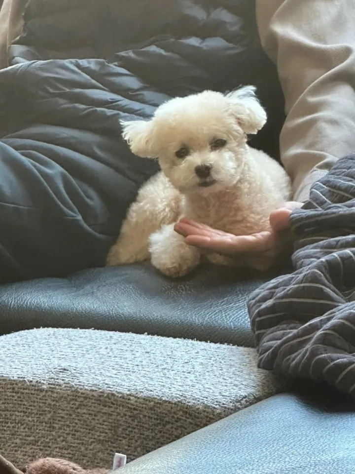 Lee Hae-ri, penyanyi, keseharian