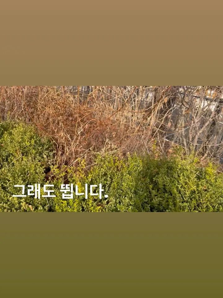 Hong Jin-kyung, Instagram, Update, Humor, Fan reactions