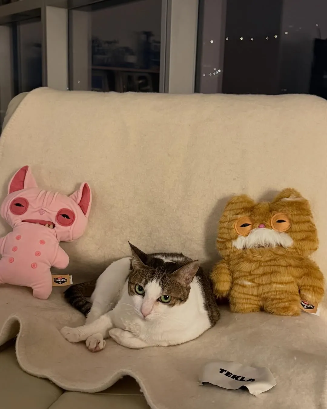 Dong-hwi Lee, Actor, Method acting, Instagram, Update