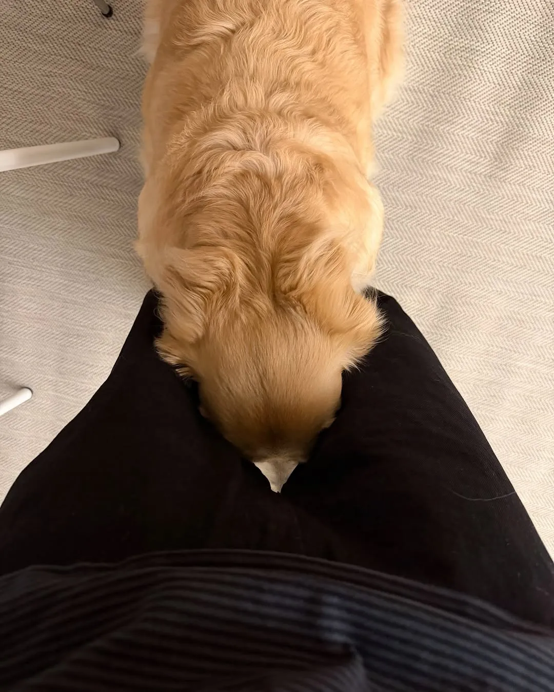 주우재, 배우, 인스타그램