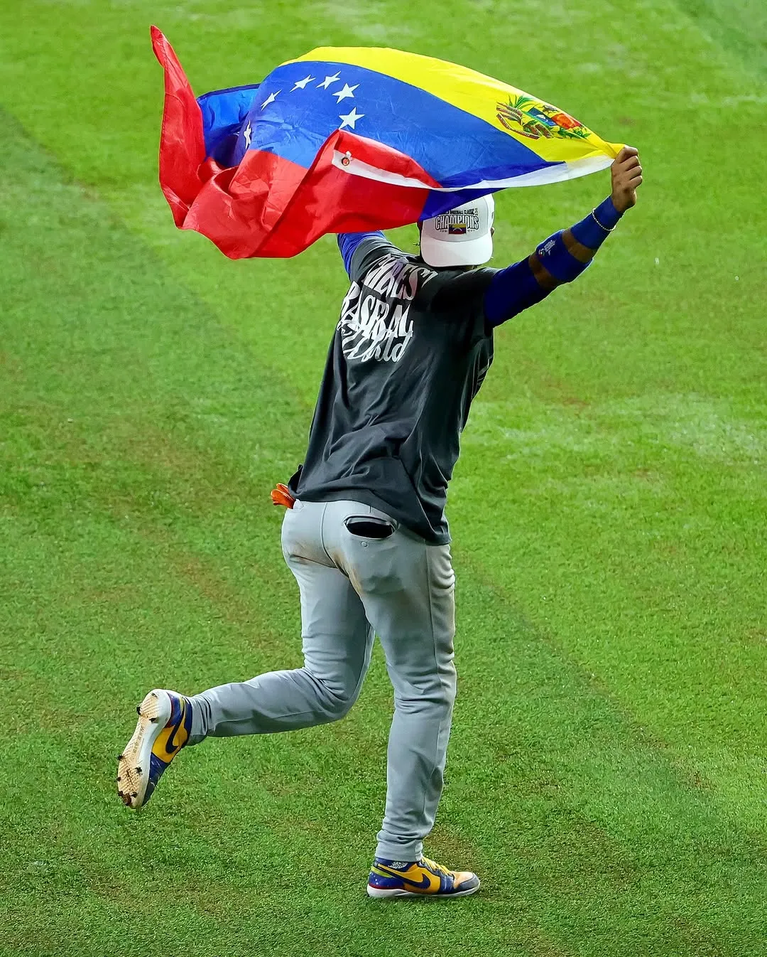 Luis Arraez, cầu thủ bóng chày, cập nhật