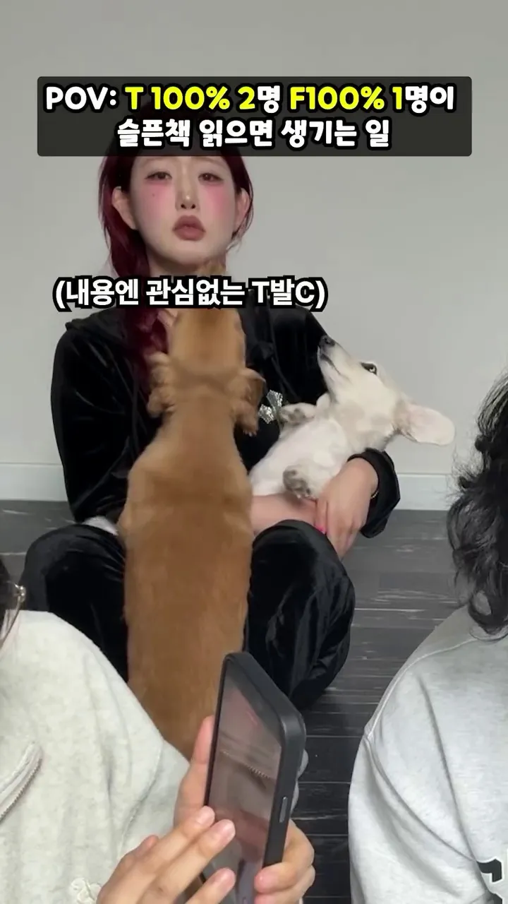 이세영, 배우, 동화책