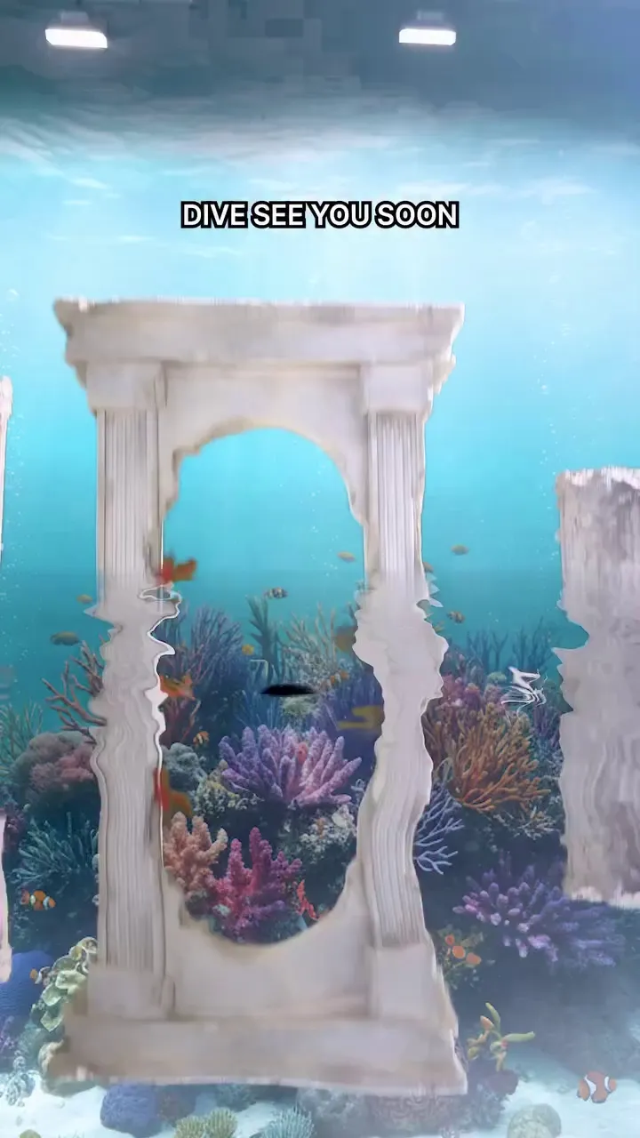 IVE, 演唱会, 粉丝, 消息, 2026