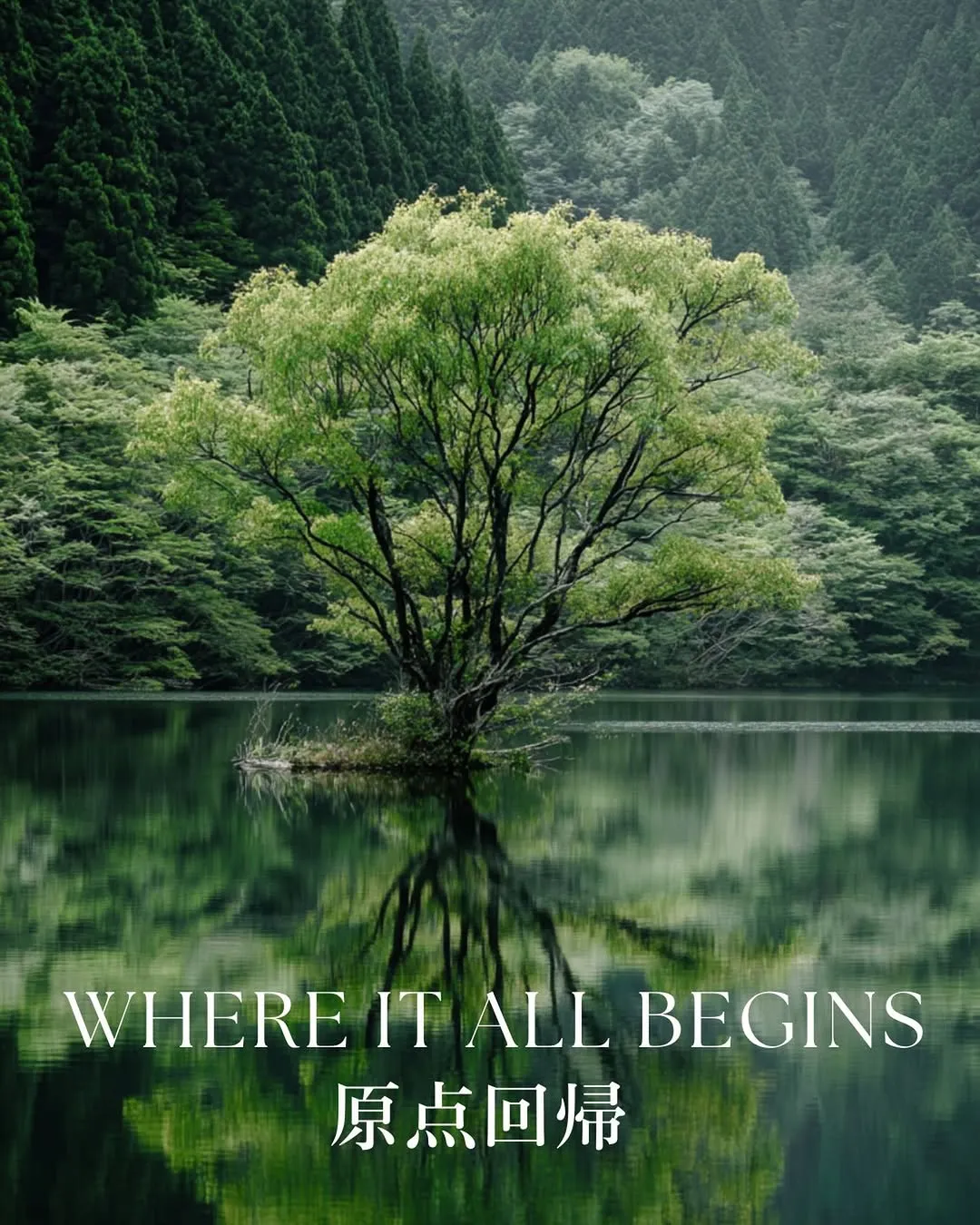 Shiho Yano presenta 'Regreso al origen', su nuevo evento de bienestar