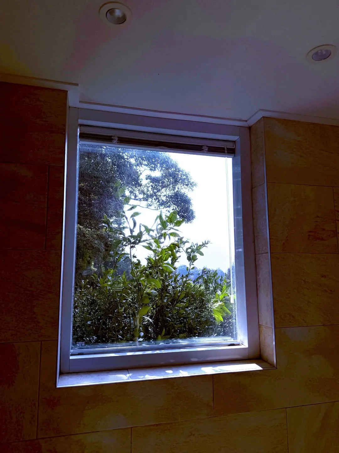 จินแจยอง, นักแสดง, 나른한햇살멍, ความรู้สึกขอบคุณ, ชีวิตประจำวัน