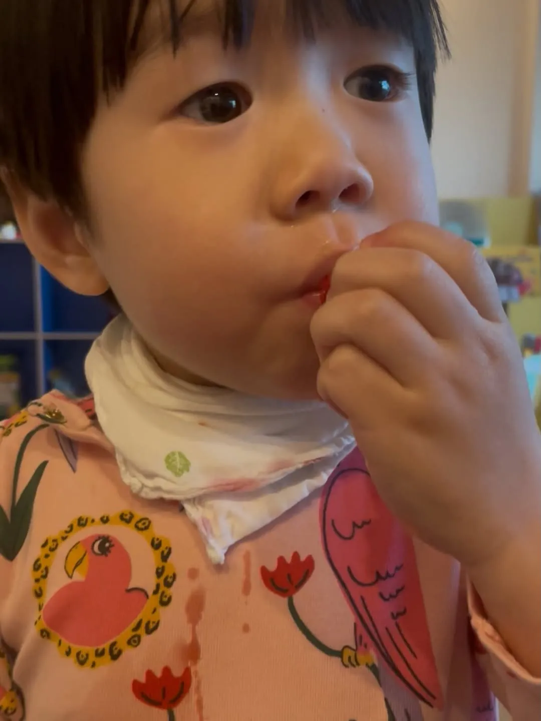 姜在俊, 喜劇演員, 草莓