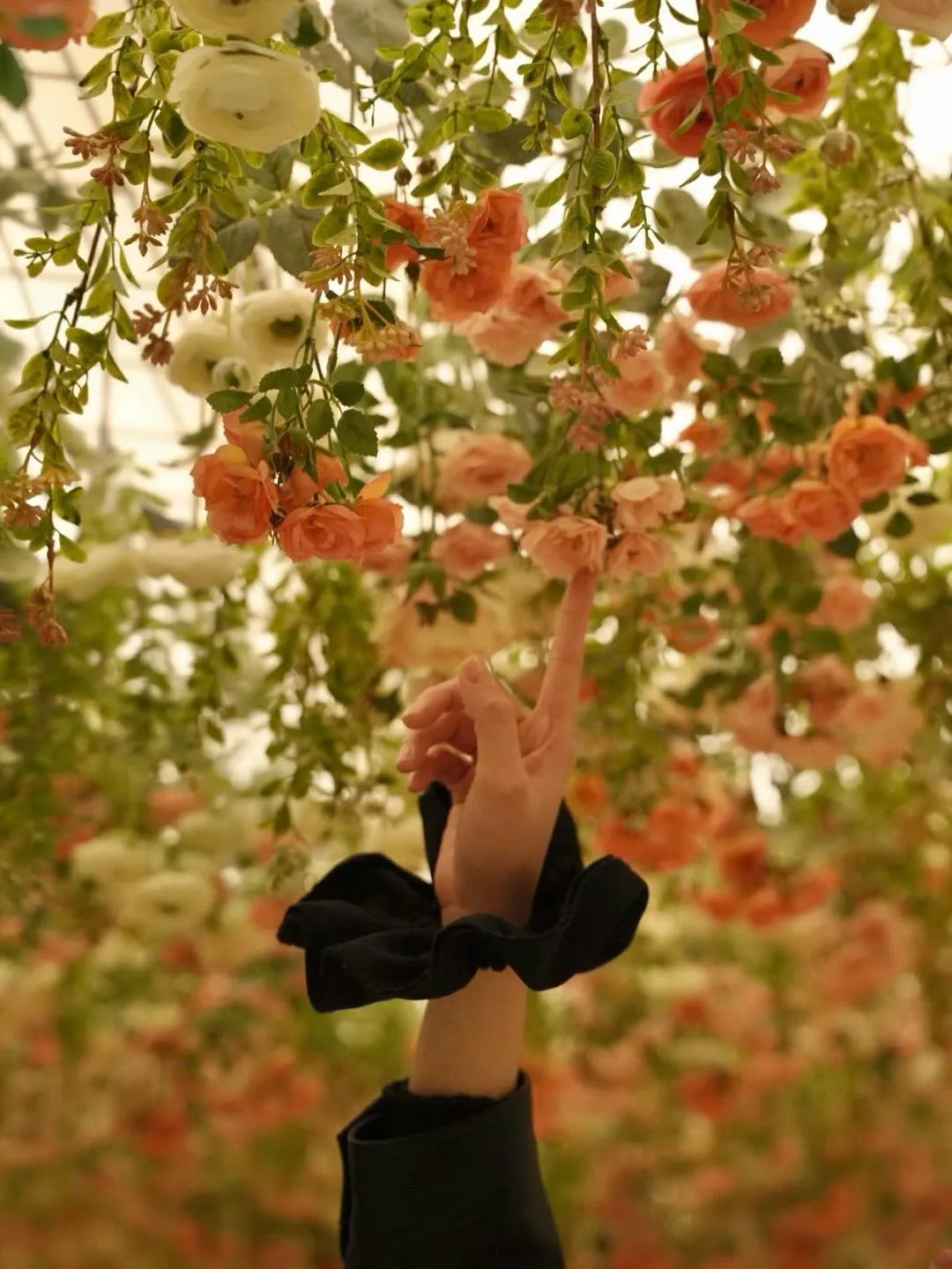 Stunning Exhibit: Inside Ryu I-seo's Café Visit