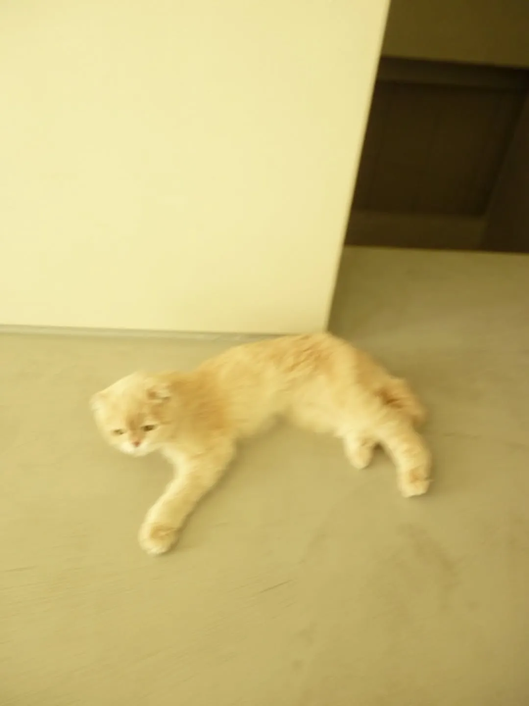 정려원, 배우, 인스타그램