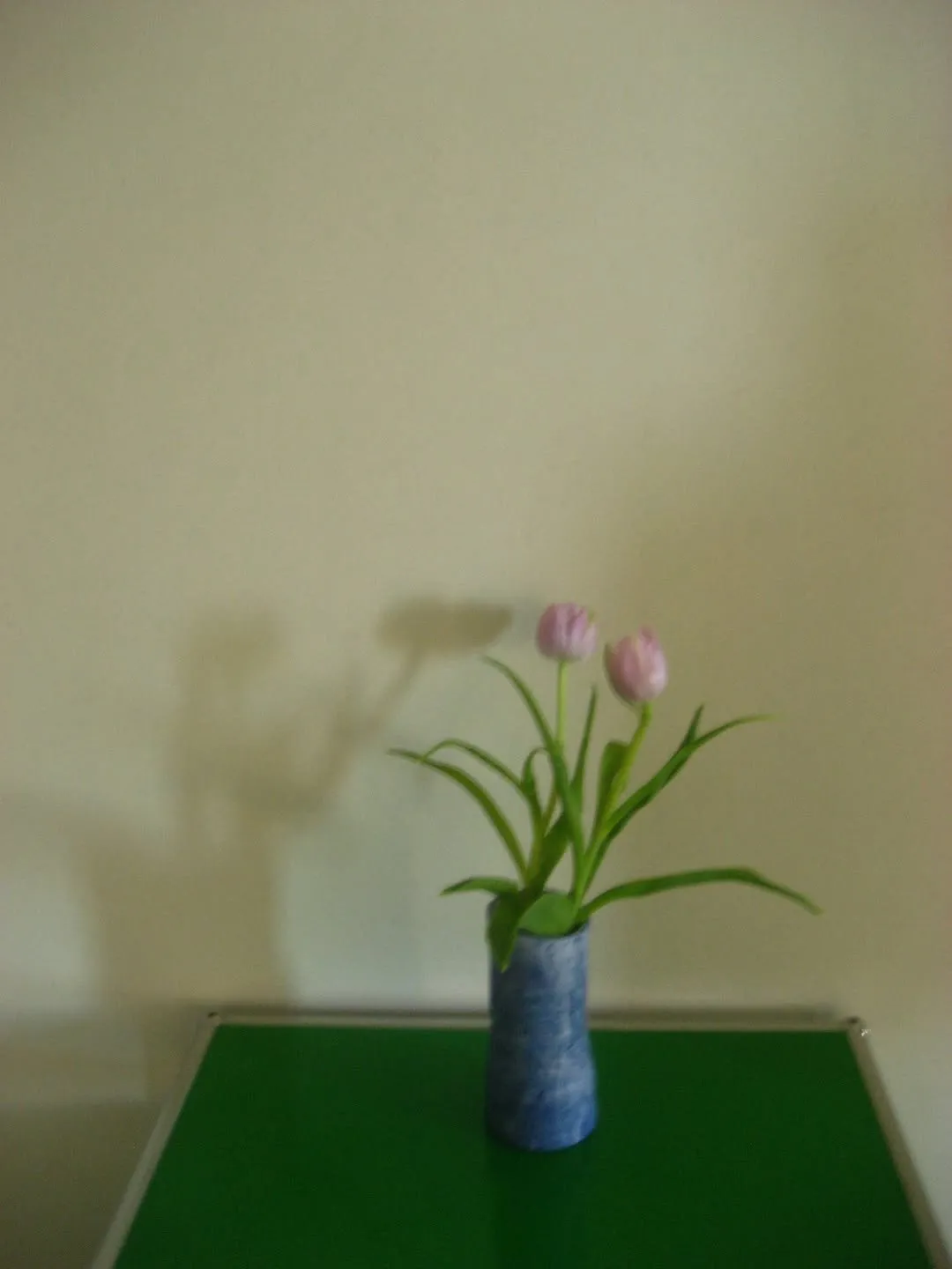 Jung Ryeo-won compartilha um cotidiano acolhedor com a cara da primavera