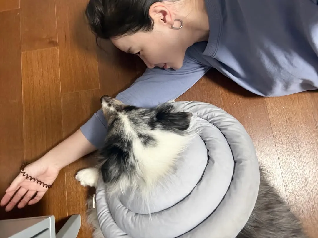 김하영, 인스타그램, 업데이트, 강아지, 애정