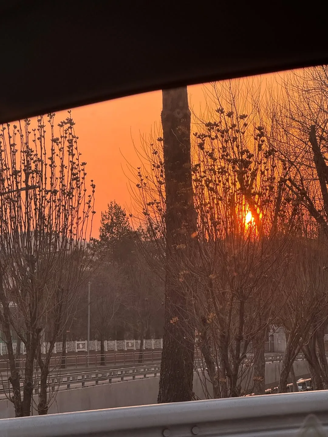 イ・イダム, 散歩, 春の夜, インスタグラム