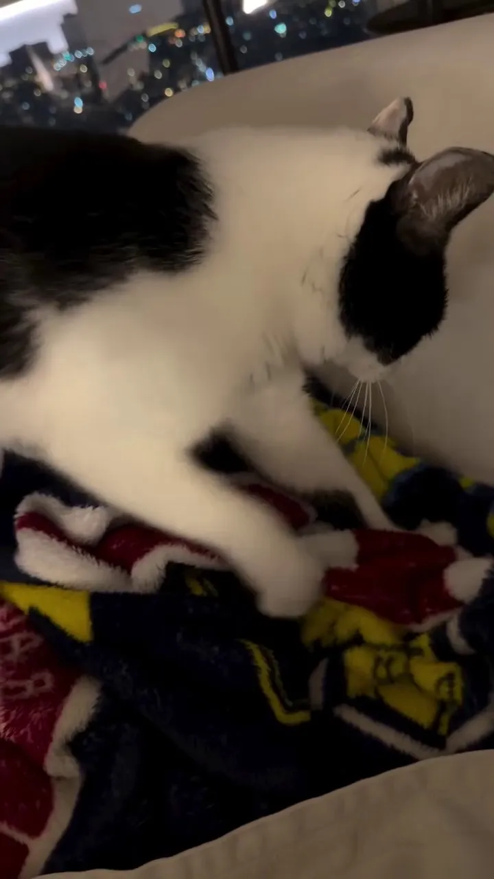 Lee Dong-hwi, Actor, Instagram