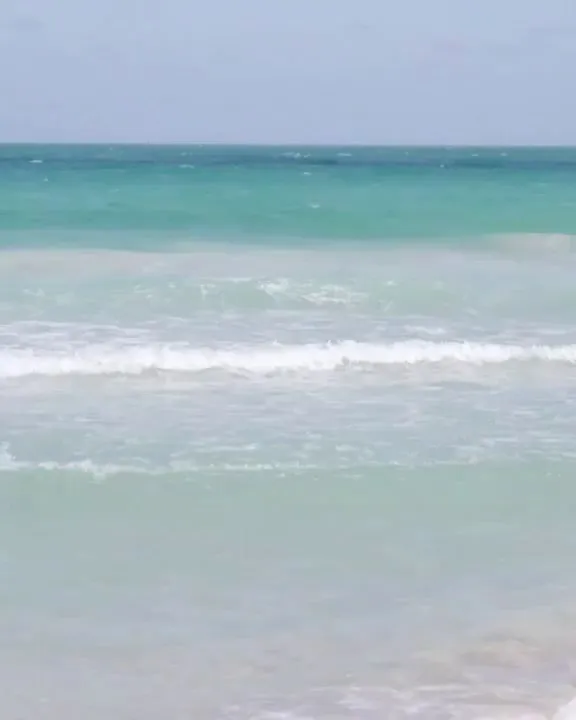 MLB, 淨灘, 志願服務