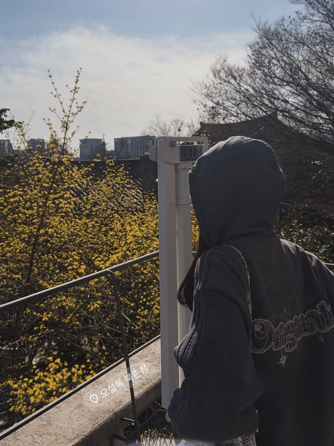 Han Chae Ah, Instagram, Bukchon, Photo, Birthday