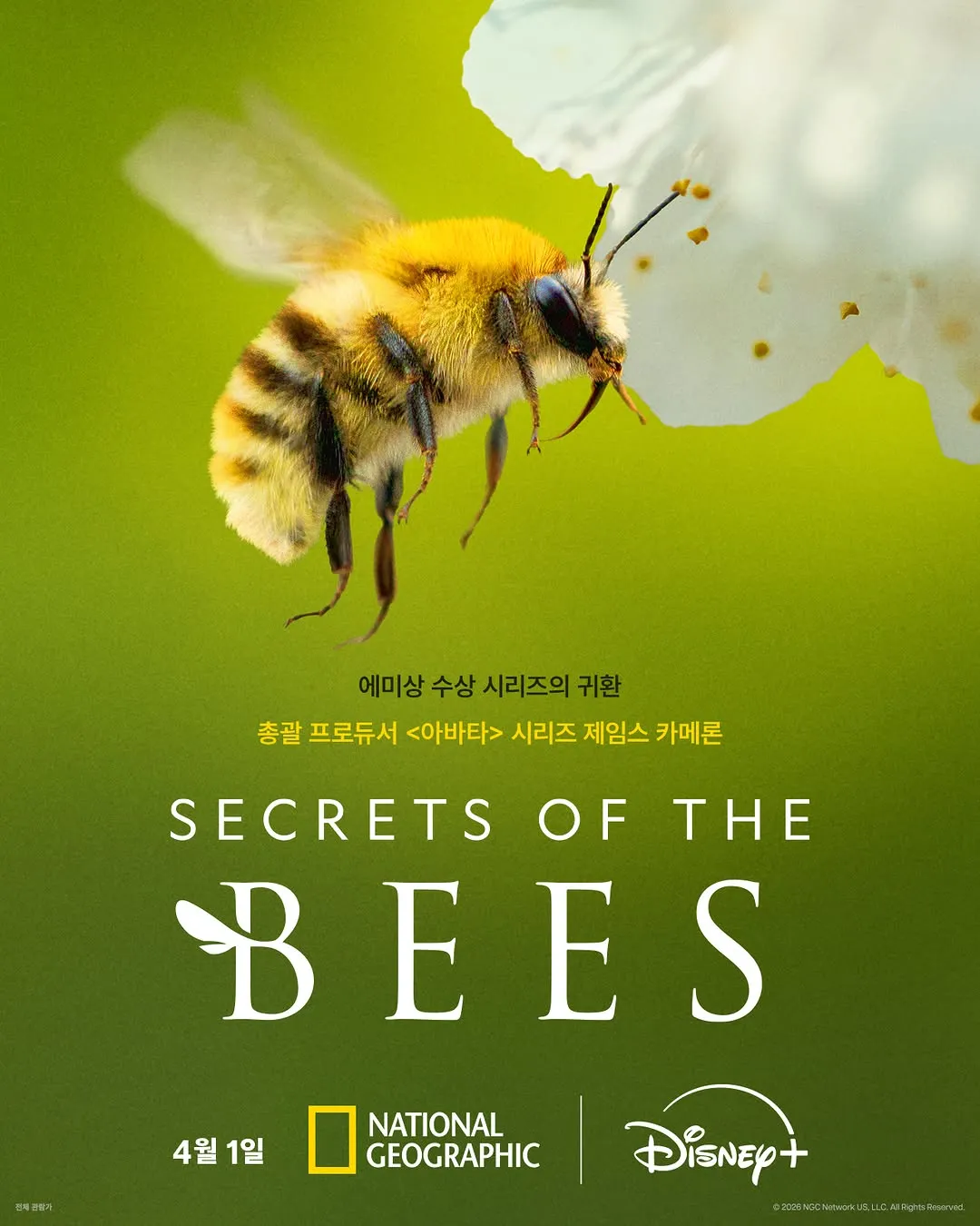 《阿凡達》總製片人出面…艾美獎得主《蜜蜂的祕密》公開